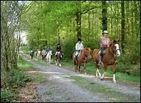 Que faut-il toujours vrifier avant de partir en balade ?