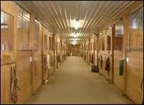 Que doit-il y avoir en permanence dans un box ?