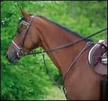 A quoi sert une martingale ?