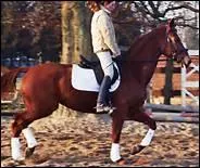 Quel autre nom donne-t-on au trot enlev ?