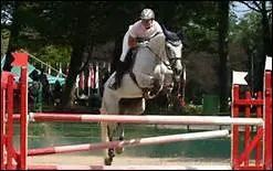 Que signifie l'expression 'le cheval vient dans le pied' ?