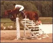 Qu'est-ce que le spa ?