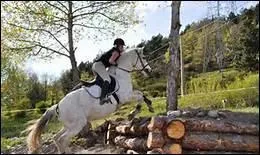 Qu'est-ce que le contre-haut ?