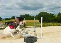 Que signifie l'expression 'prendre un taxi' ?