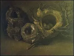 Ces 'Nids d'oiseaux ' est une oeuvre de quel peintre ?