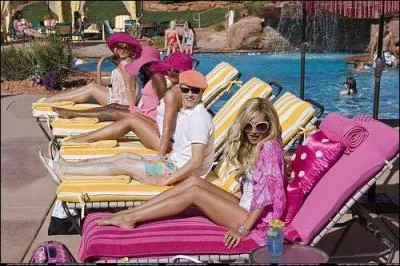 Le petit chien appartient à :