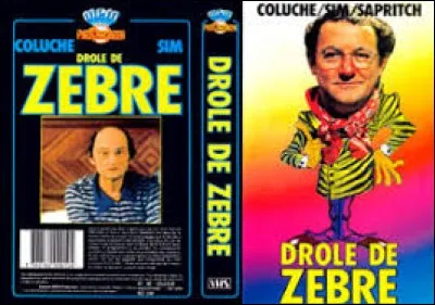 ''Zèbre de Grévy''