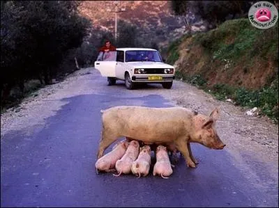 Qui a dit : "Quand je n'aurai plus qu'une paire de fesses pour penser, j'irai l'asseoir à l'Académie." ?