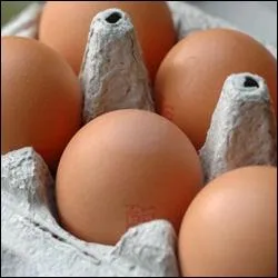 A quoi reconnait-on un oeuf frais si on le plonge dans de l'eau froide salée ?