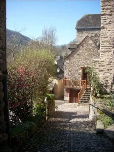 Comment appelle-t-on ces ruelles escarpes, recouvertes de pavs ou de galets qui montent vers le chteau ?