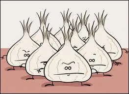 Comment sont vtues ces gousses d'ail quand elles mijotent dans le jus ?