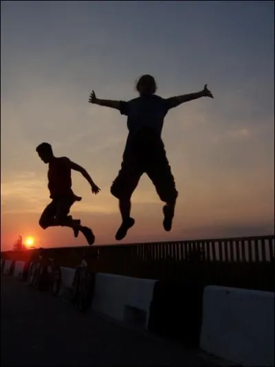 Je leur ai donc propos de...