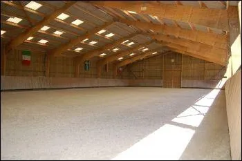 Laquelle de ces figures n'est pas une notion de dressage ?