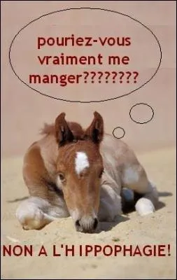 Un refus veut dire...