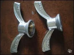 Une de ces affirmations sur l'crou papillon est fausse. Laquelle ?