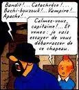 Outre une des insultes prfres du Capitaine Haddock, qu'est ce qu'un Bachi-Bouzouk ?