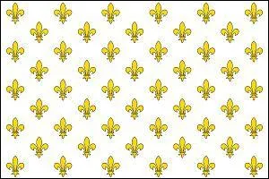 La famille des ''Bourbon'' a régné sur la France du XVIe au XIXe siècle. Parmi les rois suivants lequel n'était pas un Bourbon ?