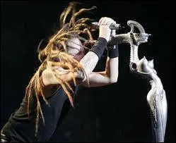 En 1993, quel groupe amricain  succs a sorti un album ponyme apportant un nouveau style au metal ?