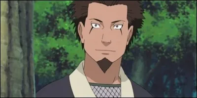 Comment s'appelle le troisième Hokage de Konoha ?