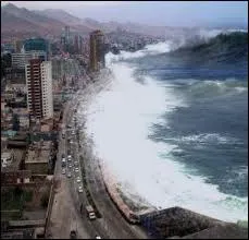 Une petite pense pour nos amis...