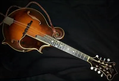 Le premier exemplaire connu de guitare lectrique date de 1924. Par qui a-t-il t cr ?