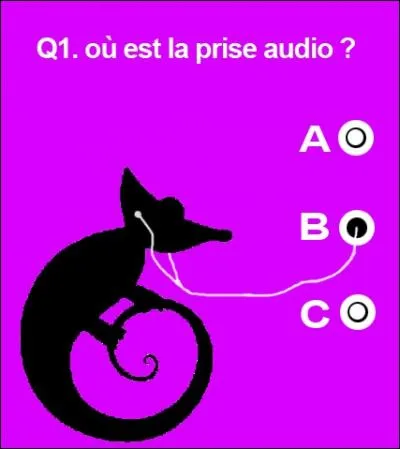 Tiens, c'est quoi cette bestiole ?