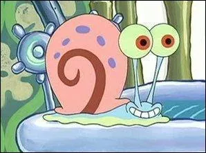 Quel est l'animal de compagnie de Bob ?