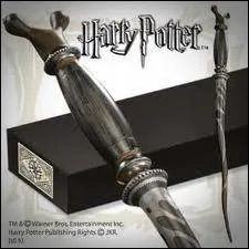  qui est cette baguette ?