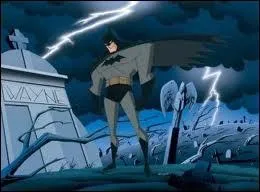 Son vritable nom est Bruce Wayne :