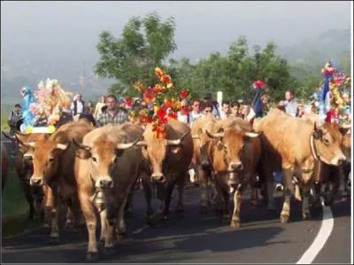 A quel saint se rapporte le jour de dpart de la transhumance (25 mai) ?