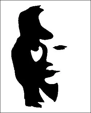 Que voyez-vous sur cette image ?