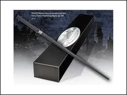  quel Mangemort appartient cette baguette ?