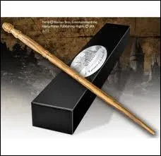  quel Mangemort appartient cette baguette ?