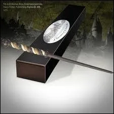  quel Mangemort appartient cette baguette ?