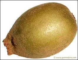 Quel est ce fruit ?