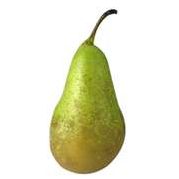 Quiz Fruits