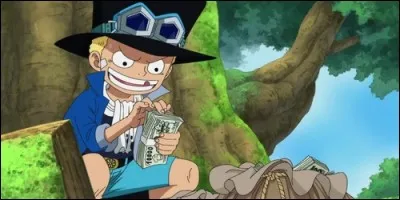 Comment s'appelle ce jeune garçon que Luffy et Ace considéraient comme leur frère ?