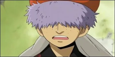 Comment se nomme ce membre de l'équipage de la bande à Ussopp ?