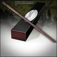  qui est cette baguette ?