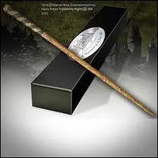  qui est cette baguette ?