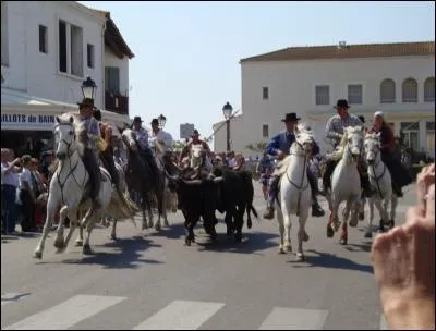 Comment appelle t-on les personnes qui montent les chevaux camarguais ?