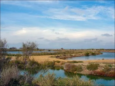 Dans quel dpartement se trouve la camargue ?
