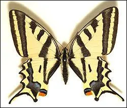 Et celui-ci, quel est son nom ?