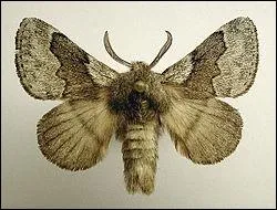 Cette fois-ci, on demande le prnom de cette charmante crature... et quelque peu poilue, il est vrai.