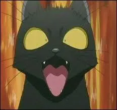 Qui est vraiment Yoruichi ?