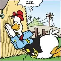 Comment s'appelle le cousin fainant de Donald qui vit  la ferme avec Grand-mre Donald ?