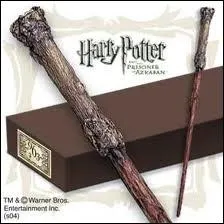  qui est cette baguette ?