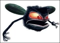 Les protagonistes maintenant. Qui est-ce ?