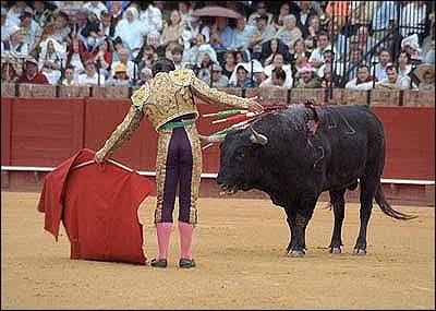 On a l'habitude de dire que les taureaux dtestent le rouge. En ralit :