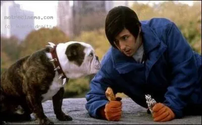 De quel film provient cette image ?